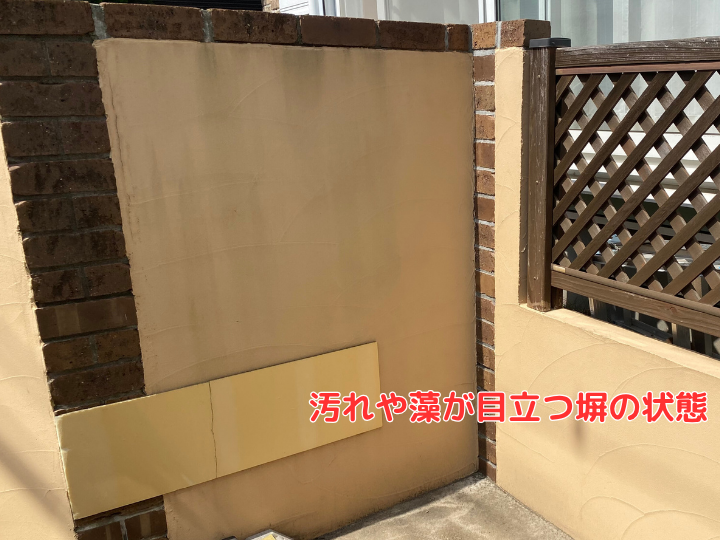 点検時の塀　藻や汚れが付着